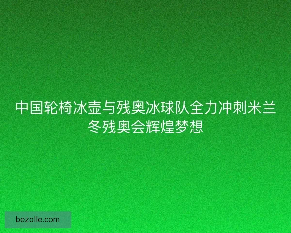 中国轮椅冰壶与残奥冰球队全力冲刺米兰冬残奥会辉煌梦想 中国轮椅冰壶与残奥冰球队全力冲刺米兰冬残奥会辉煌梦想